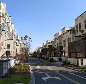 實(shí)景圖